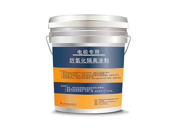 Electrode anti-oxidation coating